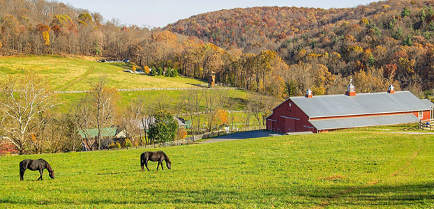 River Valley Ranch Camp