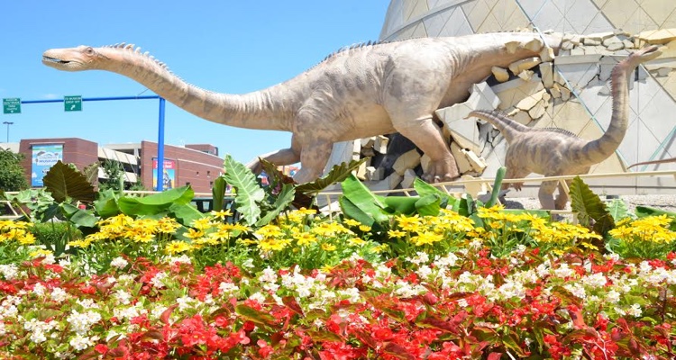 Childrens Museum -Indianapolis IN